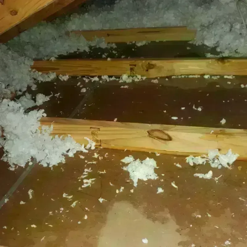 Attic Water Damage in Willow Park, TX