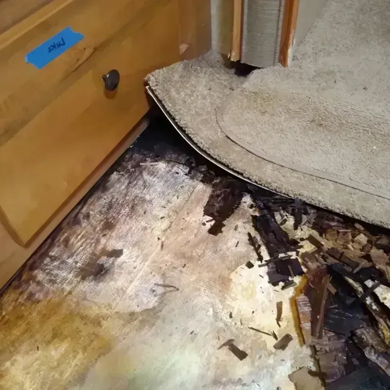 Best Wood Floor Water Damage Service in Willow Park, TX